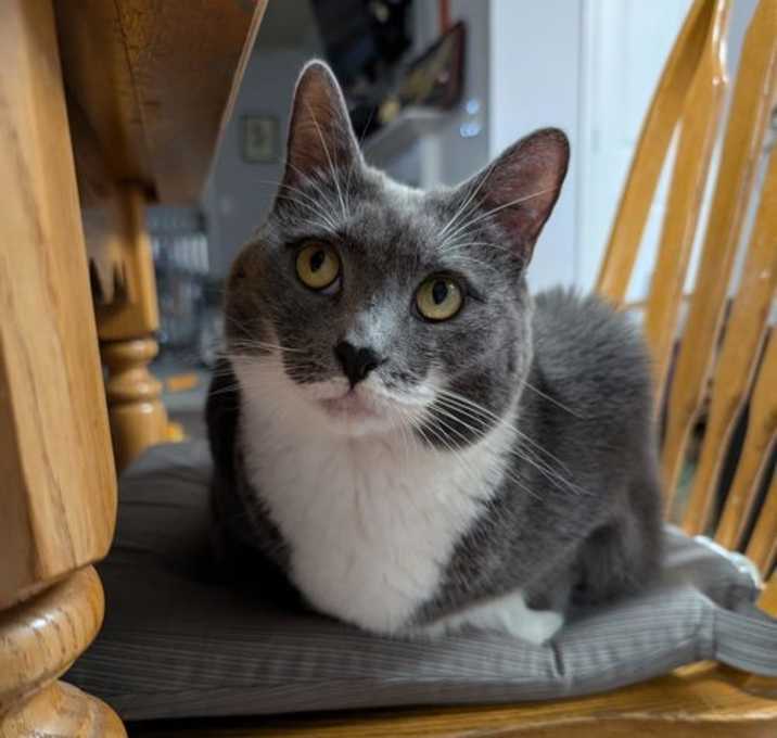 Photo of Bridgette
