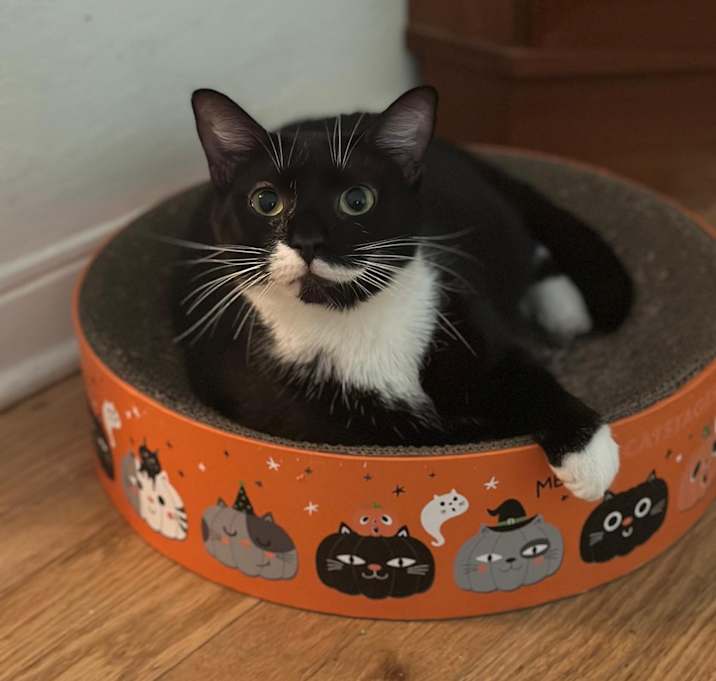 Photo of Winston