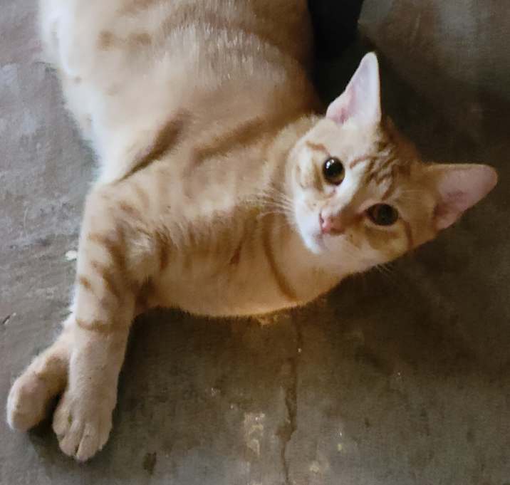 Photo of Persephone