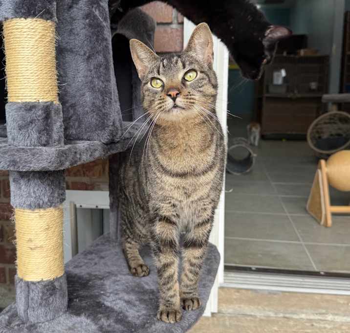 Photo of Musa