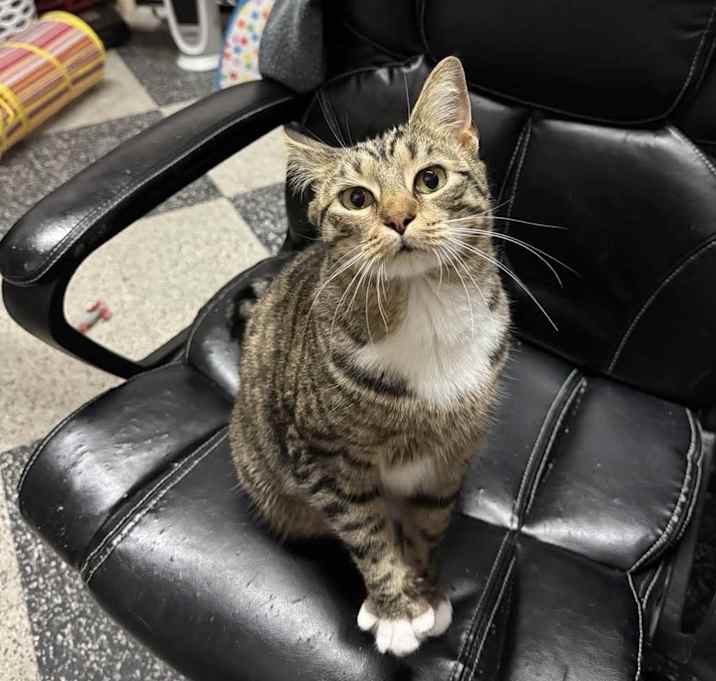 Photo of Sparkle