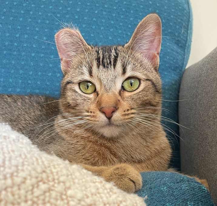 Photo of Abby