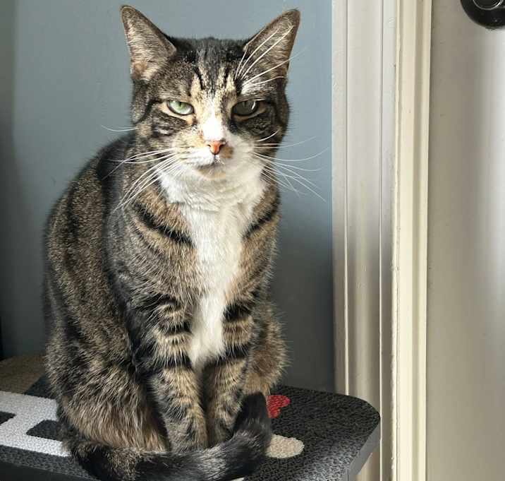 Photo of Mia