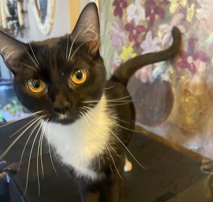 Photo of Fiona