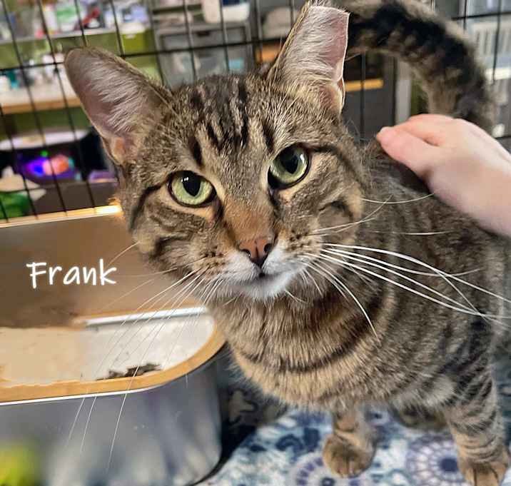 Photo of Frank