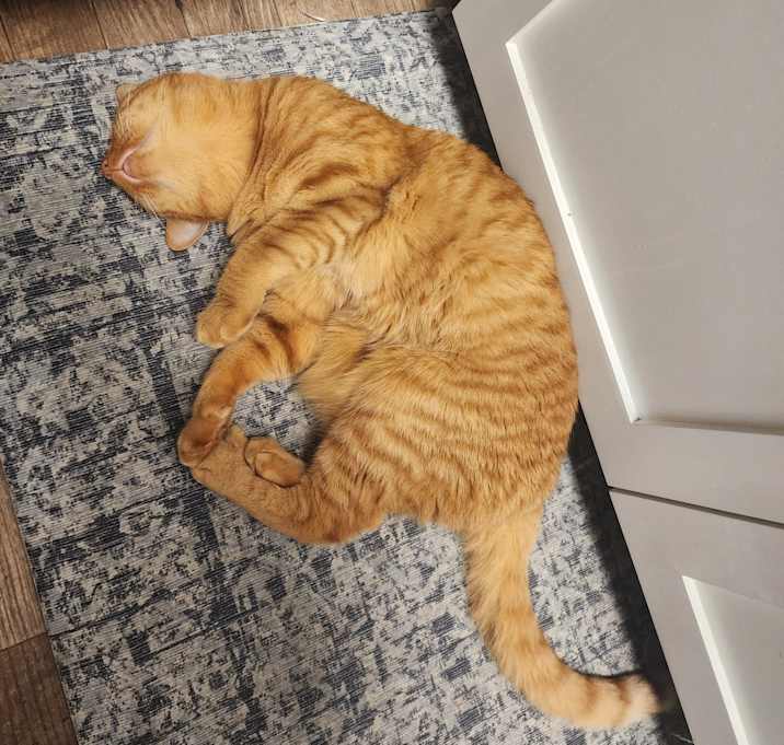 Photo of Cassandra and Calcifer