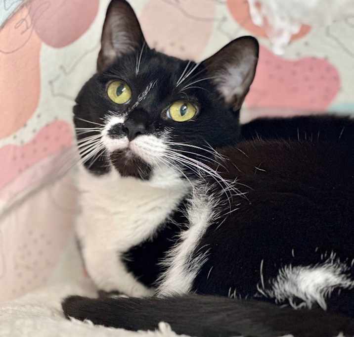 Photo of Olive (fka Peaches)