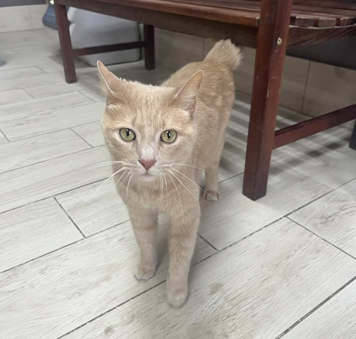 Photo of Charlie (25-040 C)