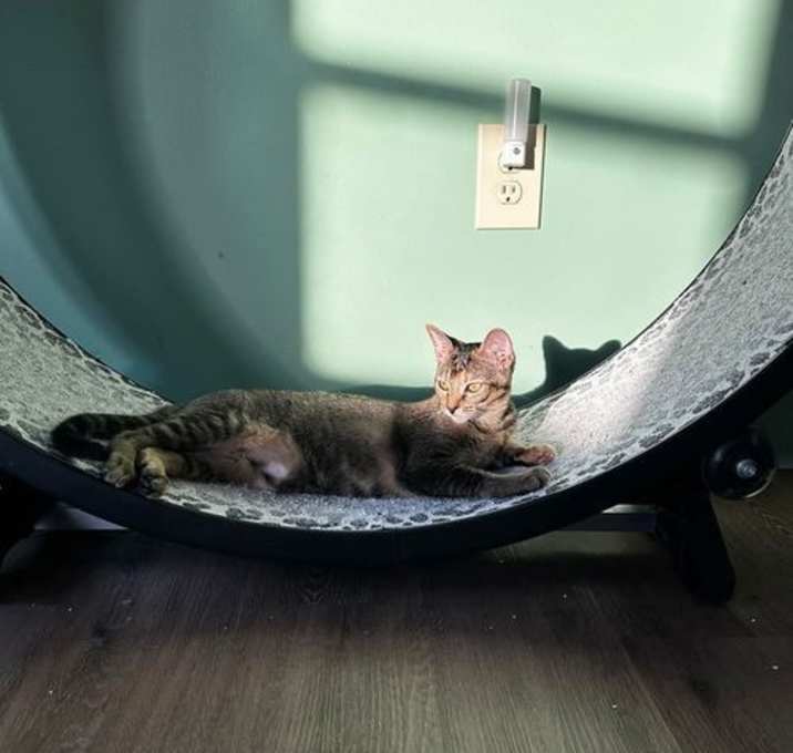 Photo of Libby
