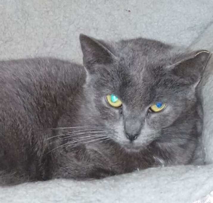 Photo of Shilo