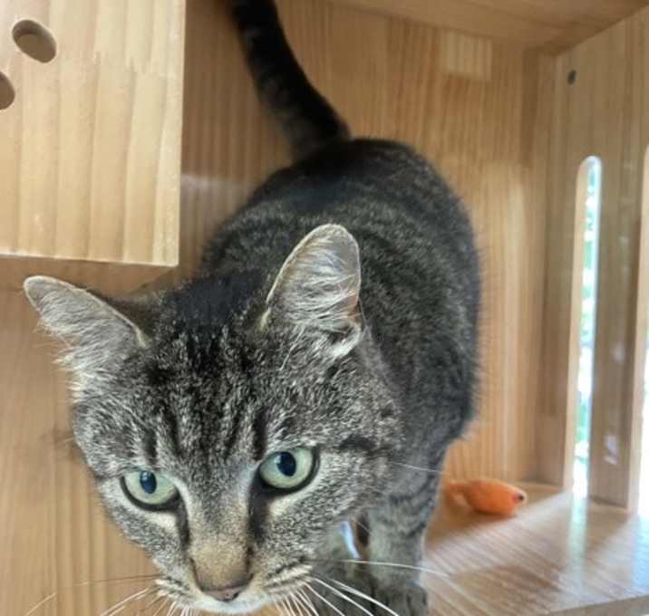 Photo of Molly