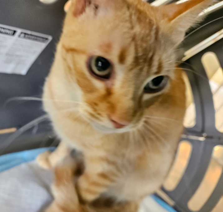 Photo of DJ