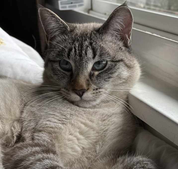 Photo of Bonita