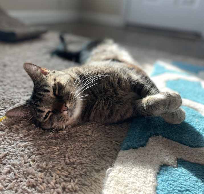 Photo of Meep