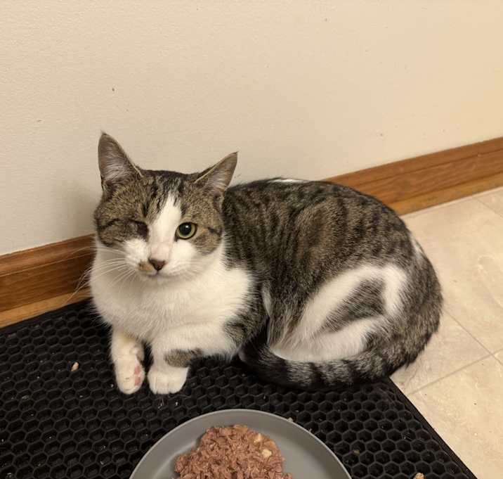 Photo of CAPT JACK “WINKY”