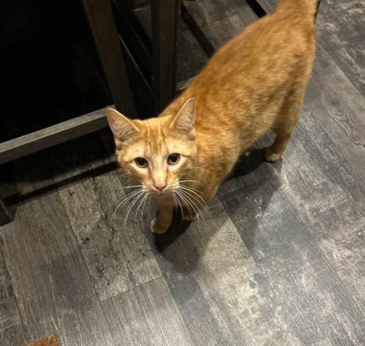Photo of Sammy