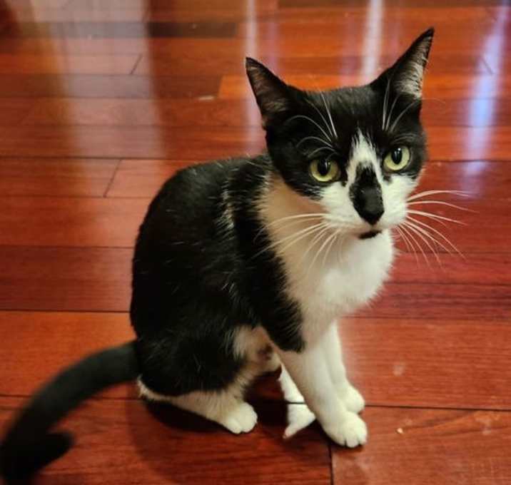 Photo of Sweetgirl