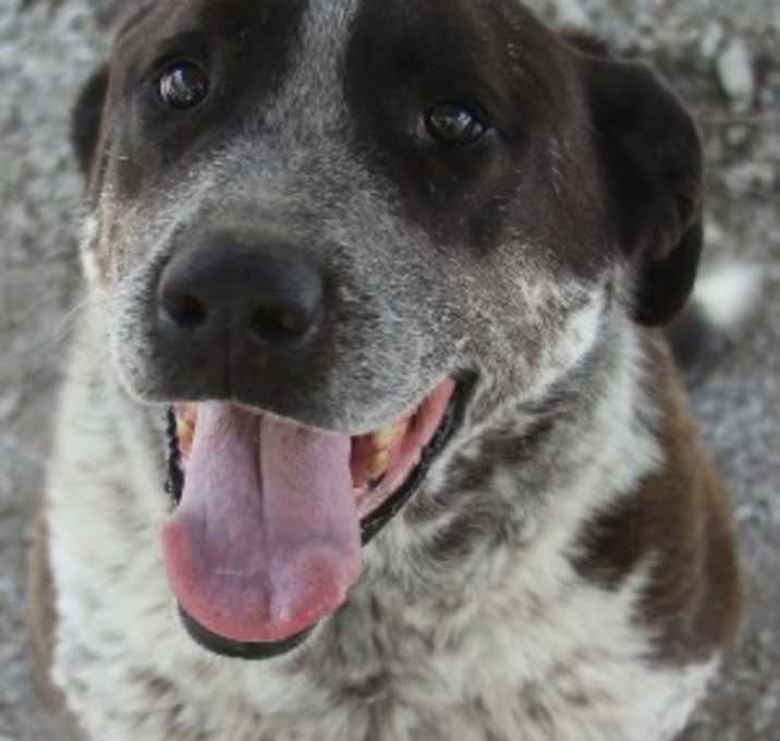 Photo of Forrest