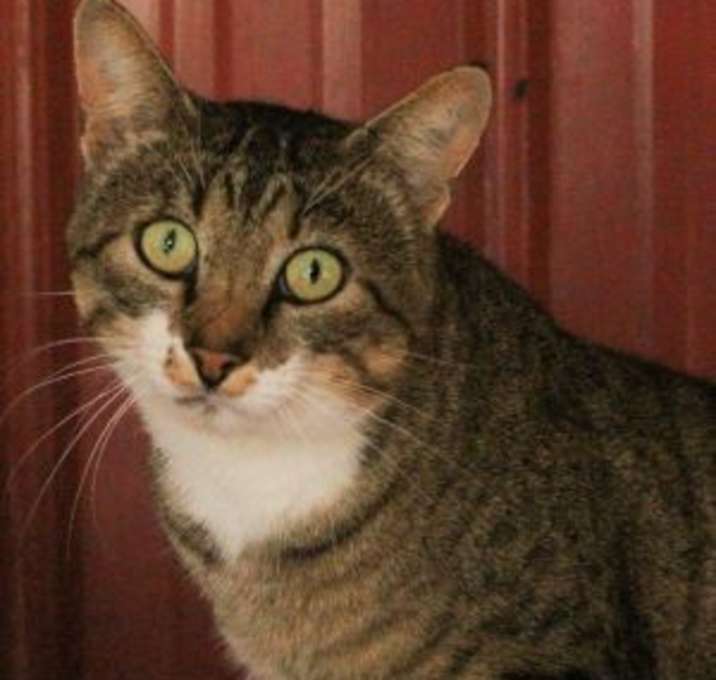 Photo of Georgie
