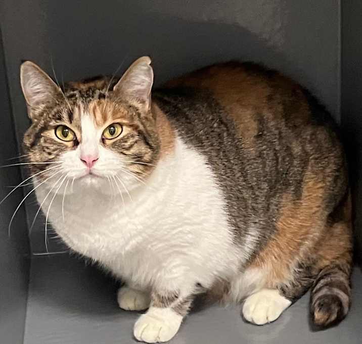 Photo of Hope