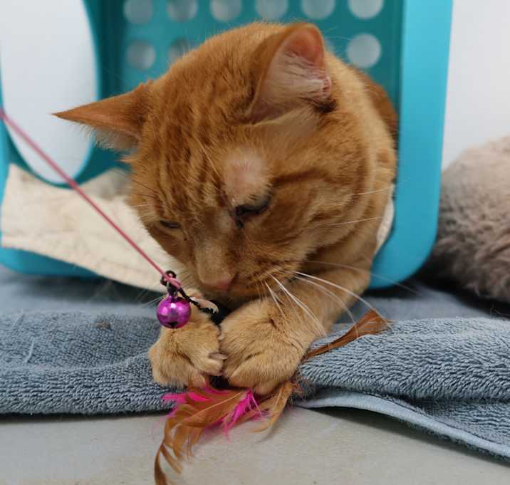 Photo of Rudy