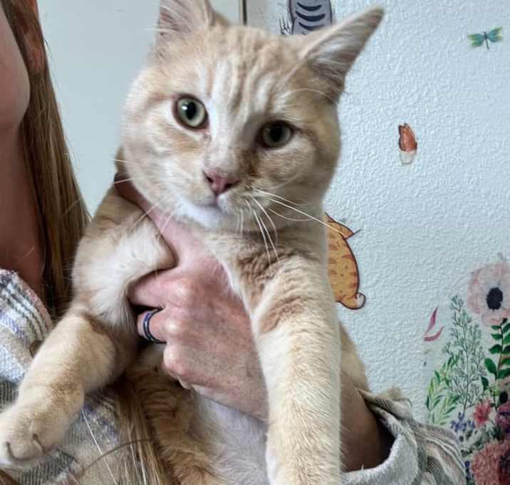 Photo of Leo