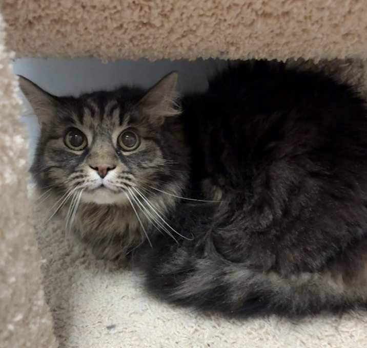 Photo of Tootsie