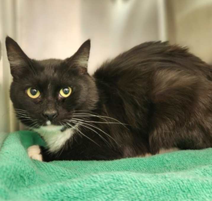 Photo of Skeeter