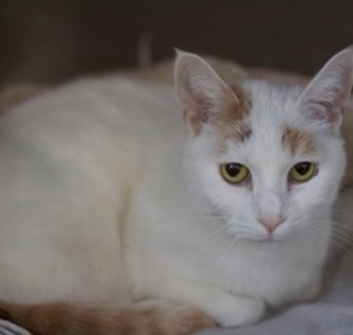 Photo of Princess