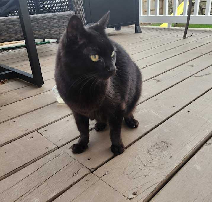 Photo of Sookie