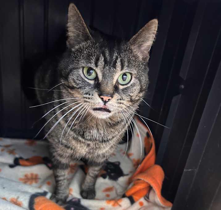 Photo of Mabel
