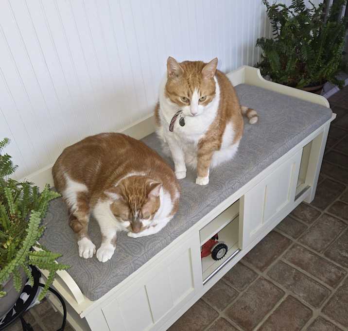 Photo of Charlie and Cheesie