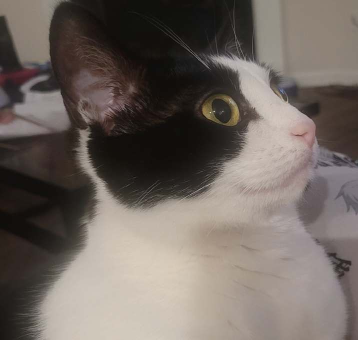 Photo of Soul