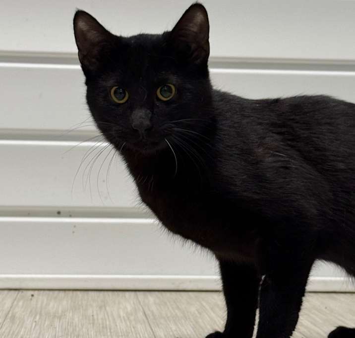 Photo of Dudley