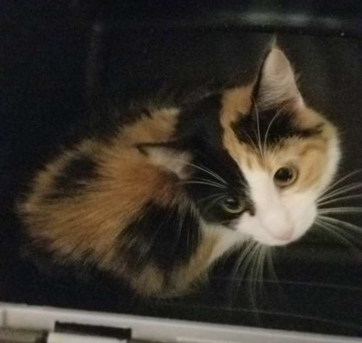 Photo of PRECIOUS