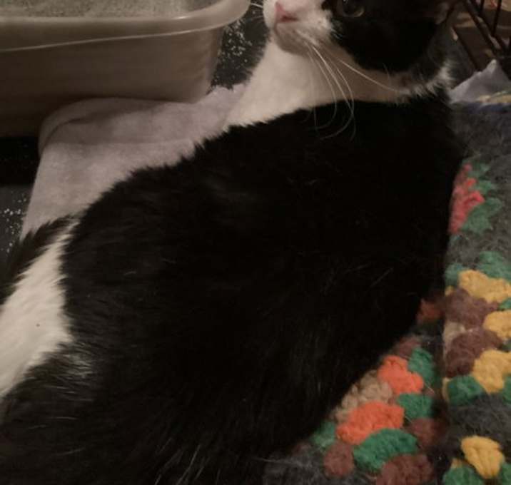 Photo of PRISSY