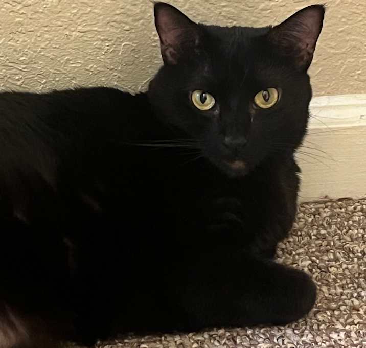 Photo of Sylvia