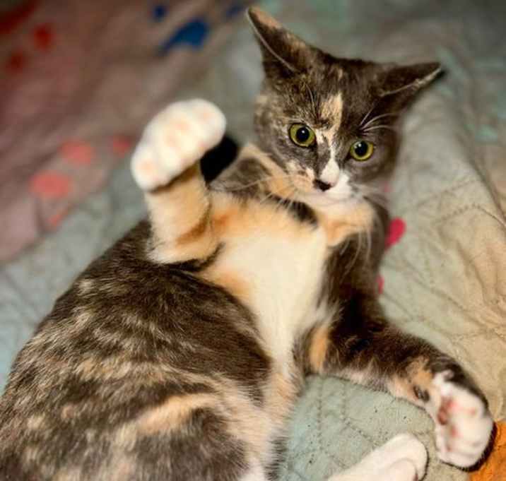 Photo of Maeve