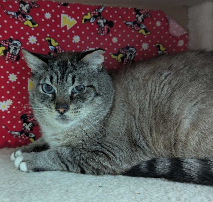 Photo of Big Papa