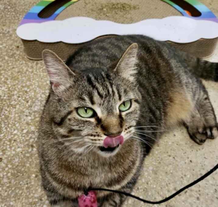 Photo of Lydia
