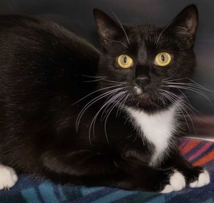 Photo of Dorothy