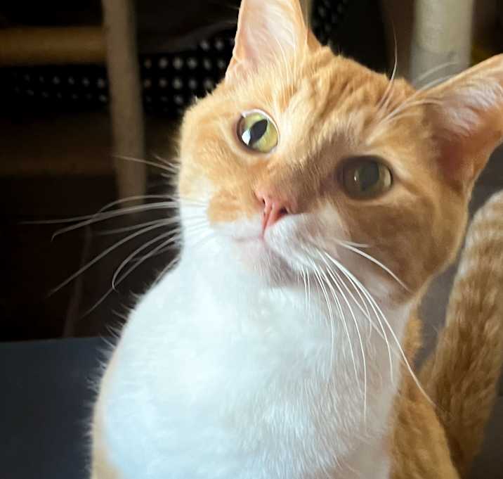 Photo of Honey Butter