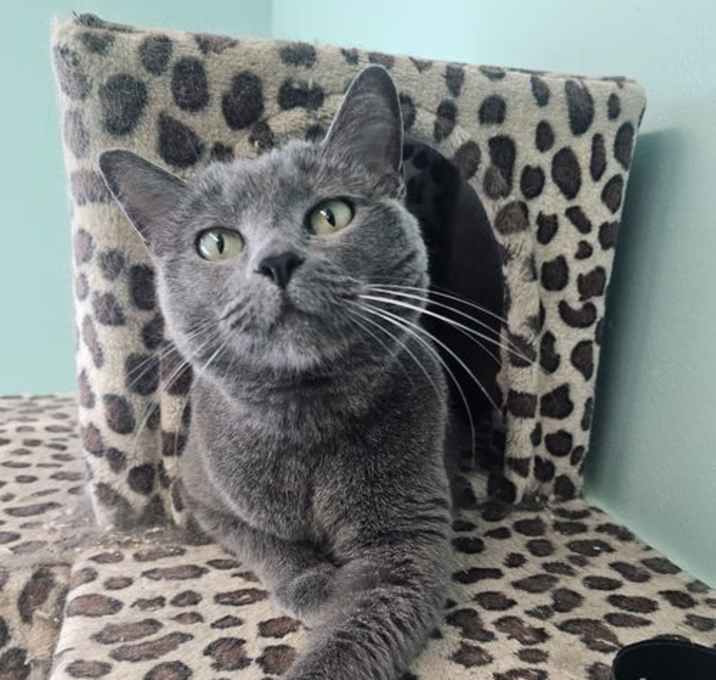 Photo of Zuri