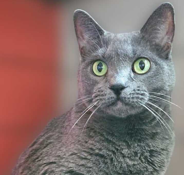 Photo of Jet