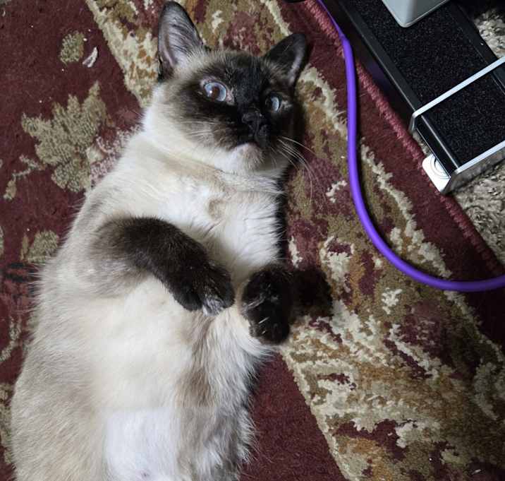 Photo of Freyja