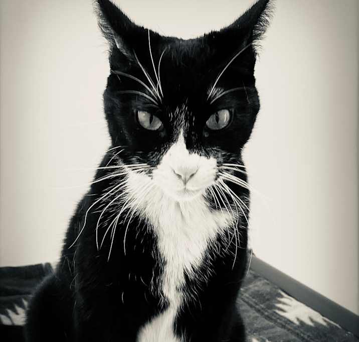 Photo of Mags