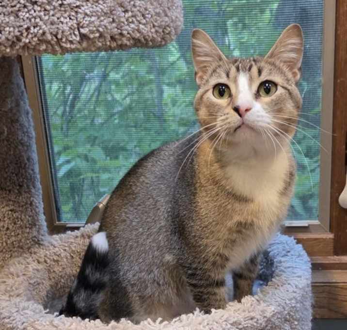 Photo of Ripley