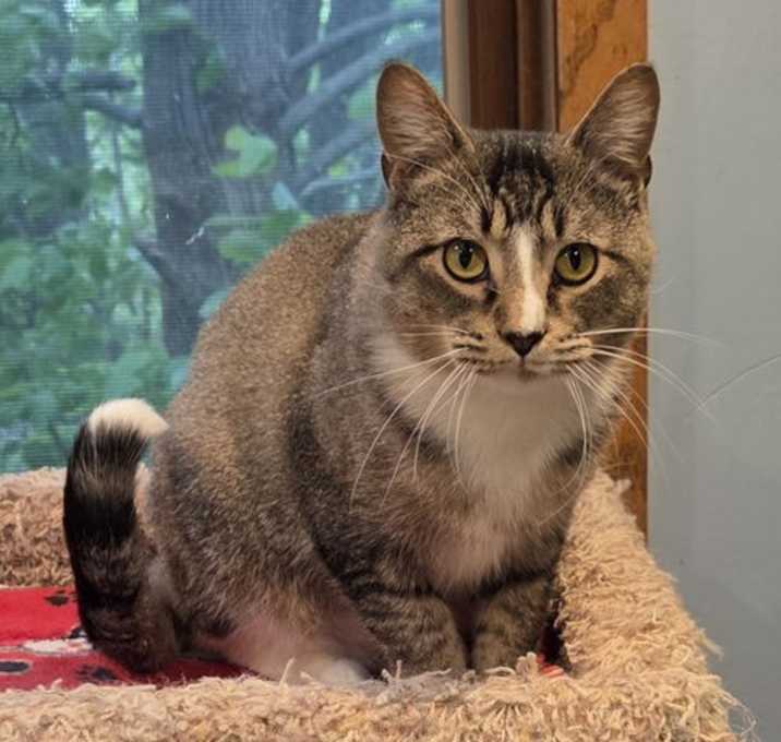 Photo of Archer