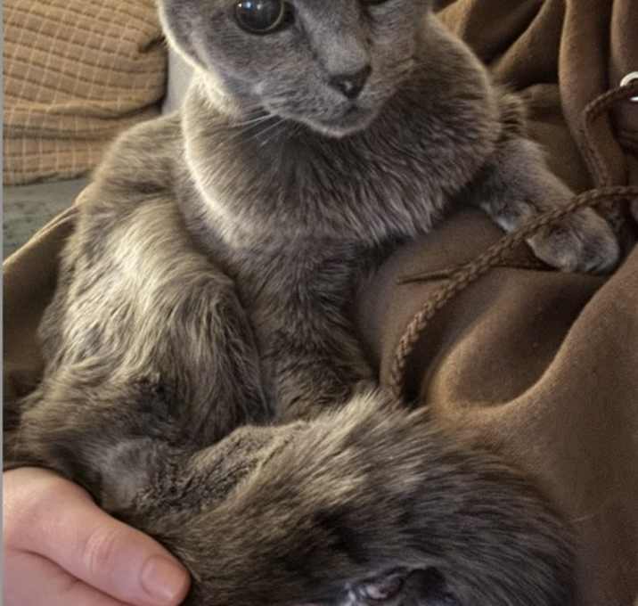 Photo of Misty