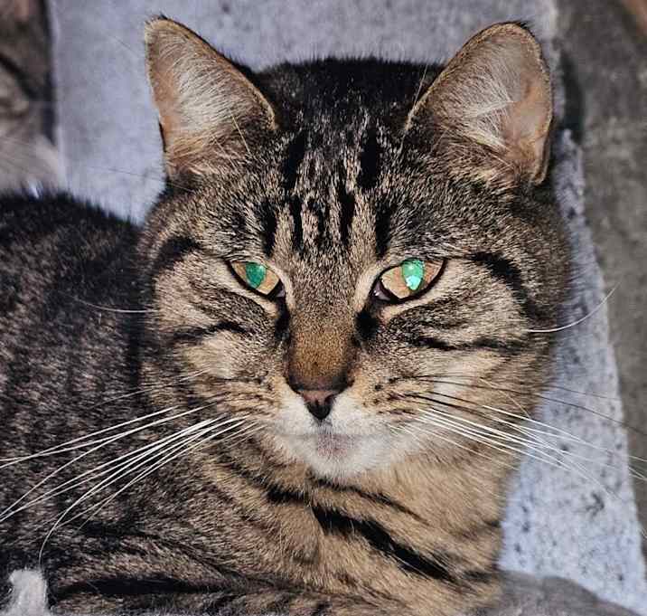 Photo of Maya